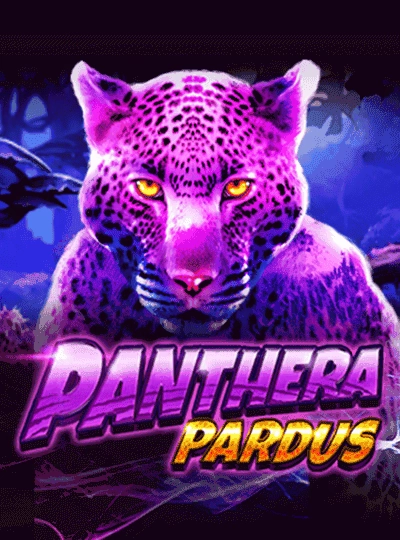 pbajee